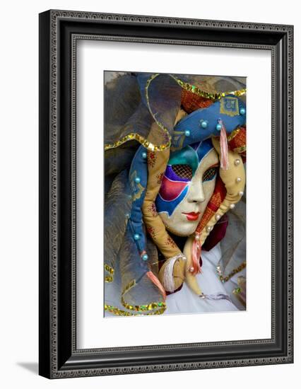 Venice, Italy. Mask and Costumes at Carnival-Darrell Gulin-Framed Photographic Print