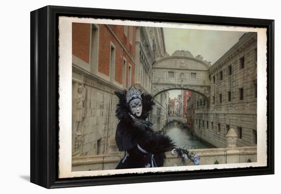 Venice, Italy. Mask and Costumes at Carnival-Darrell Gulin-Framed Premier Image Canvas
