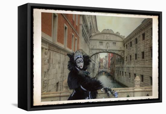 Venice, Italy. Mask and Costumes at Carnival-Darrell Gulin-Framed Premier Image Canvas