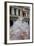 Venice, Italy. Mask and Costumes at Carnival-Darrell Gulin-Framed Photographic Print