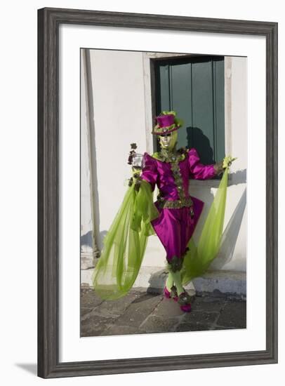 Venice, Italy. Mask and Costumes at Carnival-Darrell Gulin-Framed Photographic Print