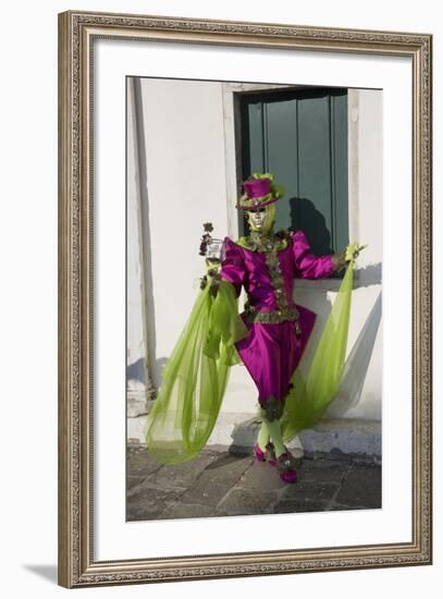 Venice, Italy. Mask and Costumes at Carnival-Darrell Gulin-Framed Photographic Print