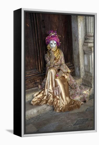 Venice, Italy. Mask and Costumes at Carnival-Darrell Gulin-Framed Premier Image Canvas