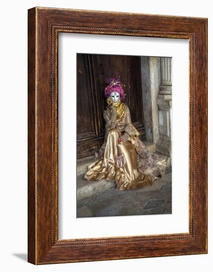 Venice, Italy. Mask and Costumes at Carnival-Darrell Gulin-Framed Photographic Print