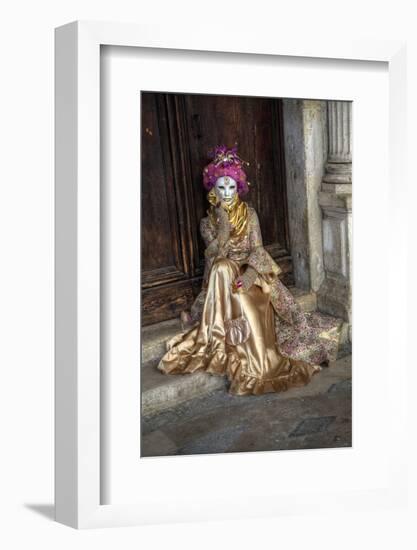 Venice, Italy. Mask and Costumes at Carnival-Darrell Gulin-Framed Photographic Print