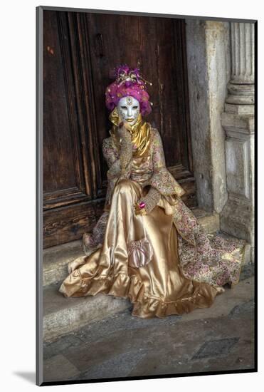 Venice, Italy. Mask and Costumes at Carnival-Darrell Gulin-Mounted Photographic Print