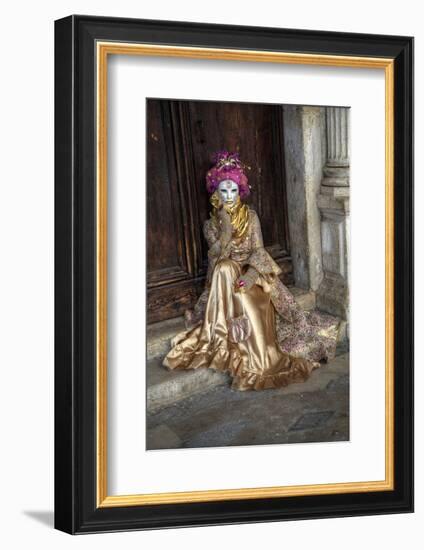 Venice, Italy. Mask and Costumes at Carnival-Darrell Gulin-Framed Photographic Print