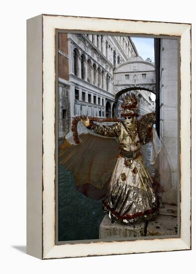 Venice, Italy. Mask and Costumes at Carnival-Darrell Gulin-Framed Premier Image Canvas