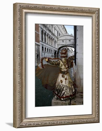 Venice, Italy. Mask and Costumes at Carnival-Darrell Gulin-Framed Photographic Print