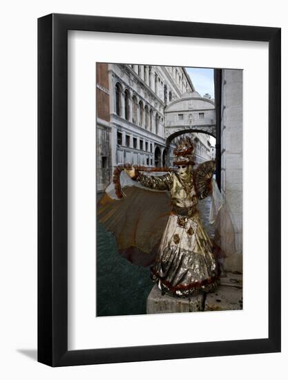 Venice, Italy. Mask and Costumes at Carnival-Darrell Gulin-Framed Photographic Print