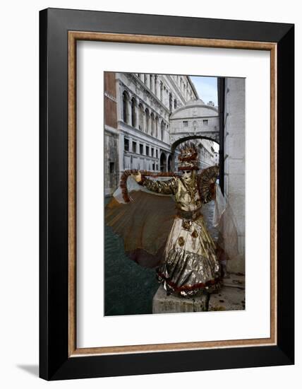 Venice, Italy. Mask and Costumes at Carnival-Darrell Gulin-Framed Photographic Print