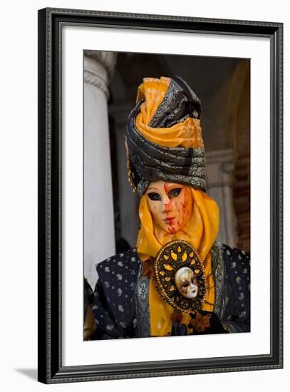 Venice, Italy. Mask and Costumes at Carnival-Darrell Gulin-Framed Photographic Print