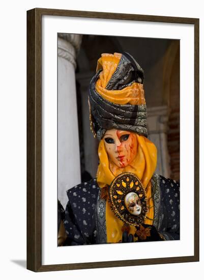 Venice, Italy. Mask and Costumes at Carnival-Darrell Gulin-Framed Photographic Print