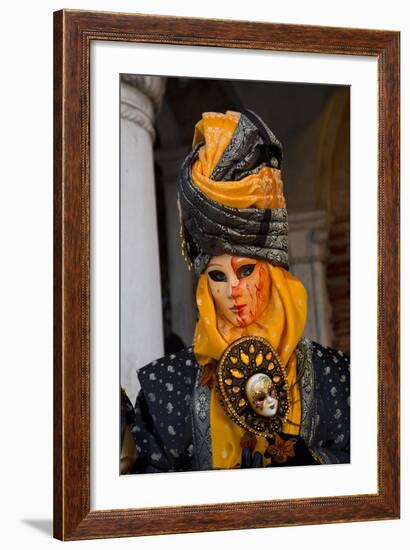 Venice, Italy. Mask and Costumes at Carnival-Darrell Gulin-Framed Photographic Print