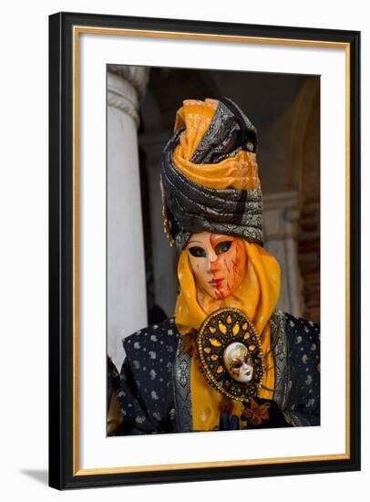 Venice, Italy. Mask and Costumes at Carnival-Darrell Gulin-Framed Photographic Print