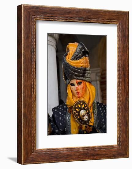 Venice, Italy. Mask and Costumes at Carnival-Darrell Gulin-Framed Photographic Print