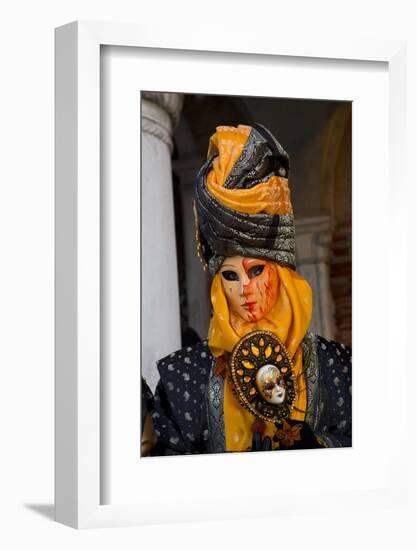 Venice, Italy. Mask and Costumes at Carnival-Darrell Gulin-Framed Photographic Print