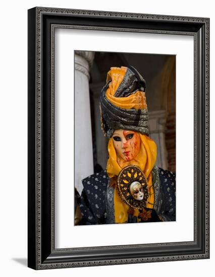 Venice, Italy. Mask and Costumes at Carnival-Darrell Gulin-Framed Photographic Print