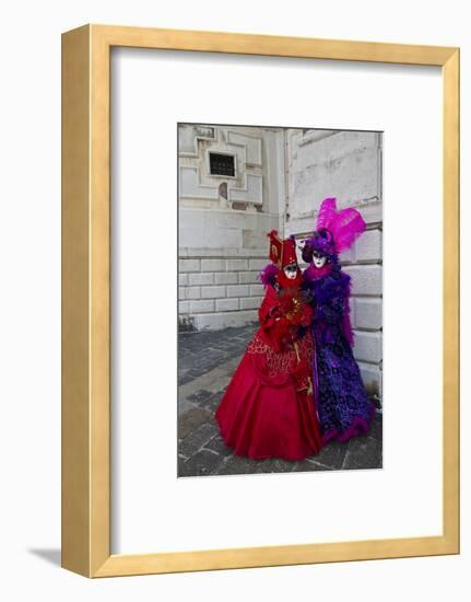 Venice, Italy. Mask and Costumes at Carnival-Darrell Gulin-Framed Photographic Print