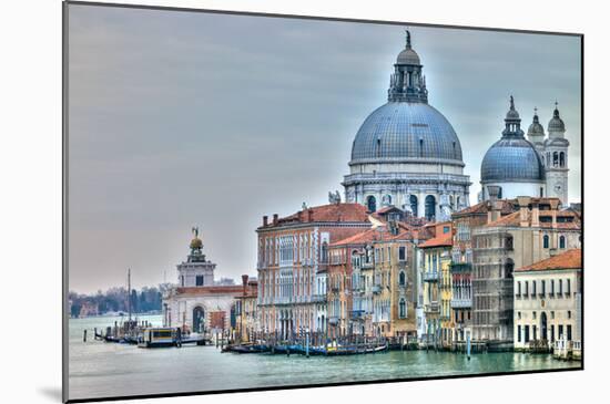 Venice Lately-Assaf Frank-Mounted Giclee Print