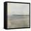 Venice Pier II-Casey Mckee-Framed Stretched Canvas
