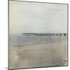 Venice Pier II-Casey Mckee-Mounted Art Print