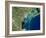 Venice, Satellite Image-PLANETOBSERVER-Framed Photographic Print