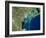 Venice, Satellite Image-PLANETOBSERVER-Framed Photographic Print