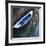 Venice Sense of Place. Blue and White Boat on Canal-Mike Burton-Framed Photographic Print