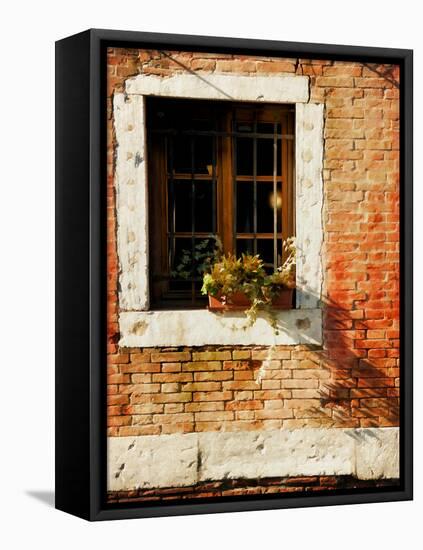 Venice Snapshots V-Danny Head-Framed Premier Image Canvas