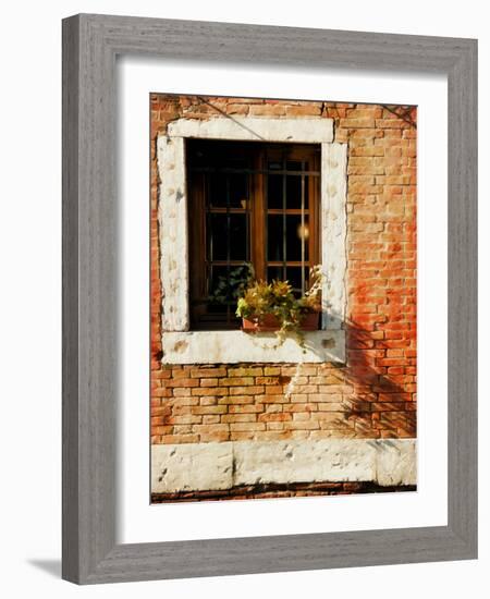 Venice Snapshots V-Danny Head-Framed Photographic Print