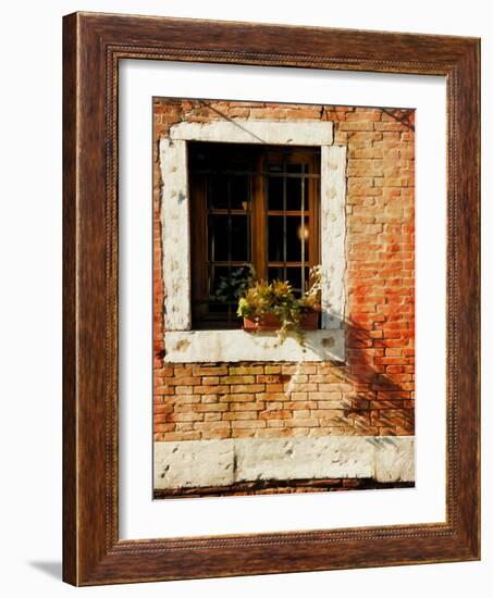 Venice Snapshots V-Danny Head-Framed Photographic Print