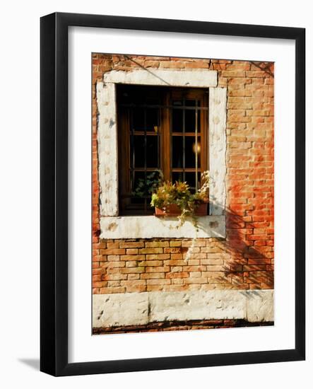 Venice Snapshots V-Danny Head-Framed Photographic Print