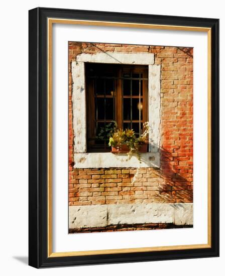 Venice Snapshots V-Danny Head-Framed Photographic Print