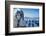 Venice, UNESCO World Heritage Site, Veneto, Italy, Europe-Angelo Cavalli-Framed Photographic Print