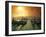 Venice, Veneto, Italy, Gondolas Tied at the Bacino Di San Marco-Ken Scicluna-Framed Photographic Print