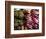 Venice, Veneto, Italy, Vegetables on Display in the Market-Ken Scicluna-Framed Photographic Print