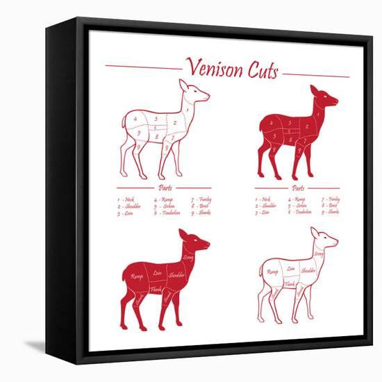 Venison Meat Cut Diagram Scheme-ONiONAstudio-Framed Stretched Canvas