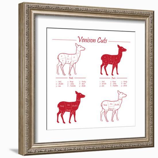 Venison Meat Cut Diagram Scheme-ONiONAstudio-Framed Art Print