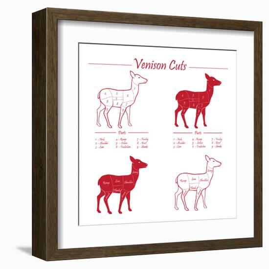 Venison Meat Cut Diagram Scheme-ONiONAstudio-Framed Art Print