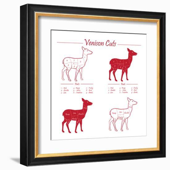 Venison Meat Cut Diagram Scheme-ONiONAstudio-Framed Art Print