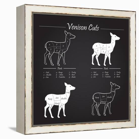 Venison Meat Cut Diagram Scheme-ONiONAstudio-Framed Stretched Canvas