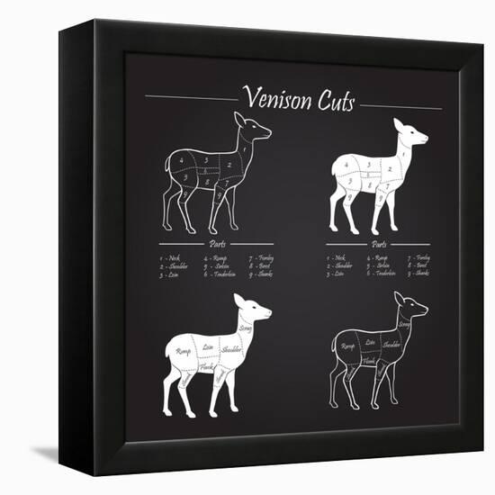 Venison Meat Cut Diagram Scheme-ONiONAstudio-Framed Stretched Canvas