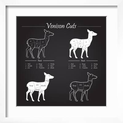 Deer meat cuts diagram