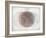 Venn Diagram of Humans - 1873, The World in Hemispheres Map-null-Framed Giclee Print