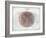 Venn Diagram of Humans - 1873, The World in Hemispheres Map-null-Framed Giclee Print