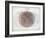 Venn Diagram of Humans - 1873, The World in Hemispheres Map-null-Framed Giclee Print