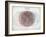 Venn Diagram of Humans - 1873, The World in Hemispheres Map-null-Framed Giclee Print