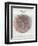 Venn Diagram of Humans - 1873, The World in Hemispheres Map-null-Framed Premium Giclee Print