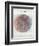 Venn Diagram of Humans - 1873, The World in Hemispheres Map-null-Framed Premium Giclee Print